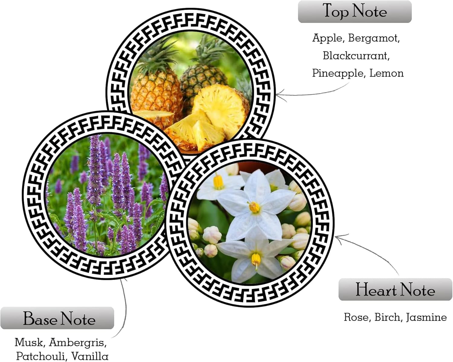 ARMAF Original Club De Nuit Intense Eau de Toilette for Men - Free Fast Delivery